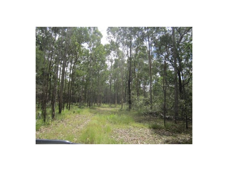 1282 Old Tenterfield Rd, Rappville NSW 2469