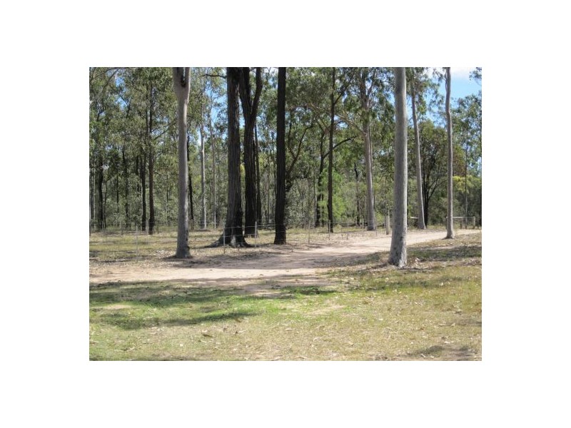 1282 Old Tenterfield Rd, Rappville NSW 2469