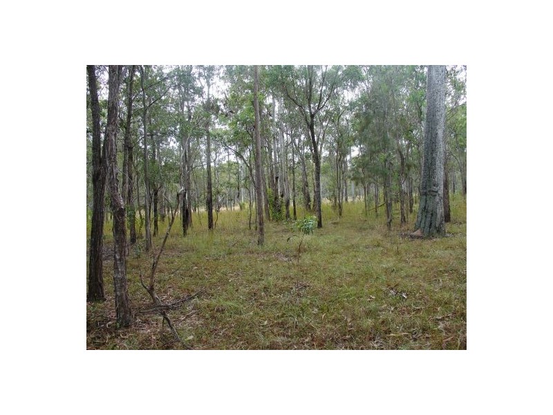 Lot 31 Old Tenterfield Rd, Rappville NSW 2469