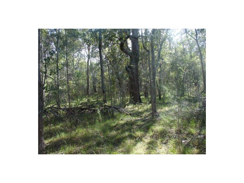Lot 31 Old Tenterfield Rd, Rappville NSW 2469