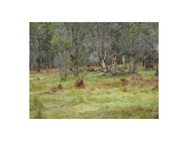 Lot 37 Old Tenterfield Rd, Casino NSW 2470