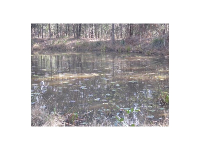 Lot 37 Old Tenterfield Rd, Casino NSW 2470