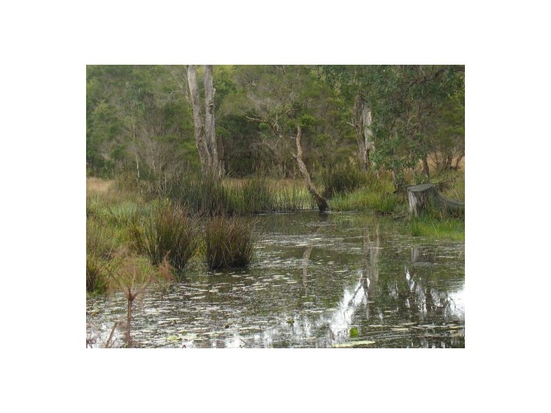 Lot 37 Old Tenterfield Rd, Casino NSW 2470