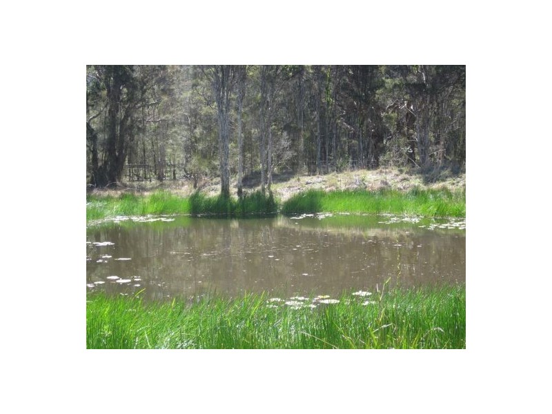 Lot 37 Old Tenterfield Rd, Casino NSW 2470