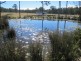 1336 Old Tenterfield Rd, Casino NSW 2470