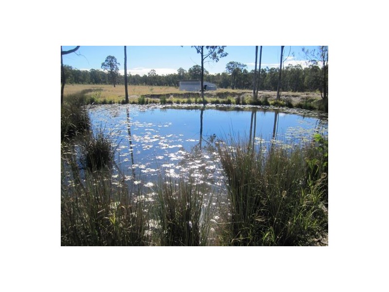 1336 Old Tenterfield Rd, Casino NSW 2470