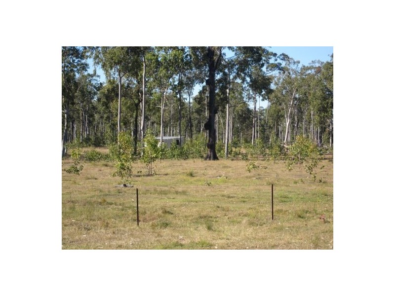 1336 Old Tenterfield Rd, Casino NSW 2470