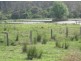 Lot 143 Old Lawrence Rd, Mallanganee NSW 2469