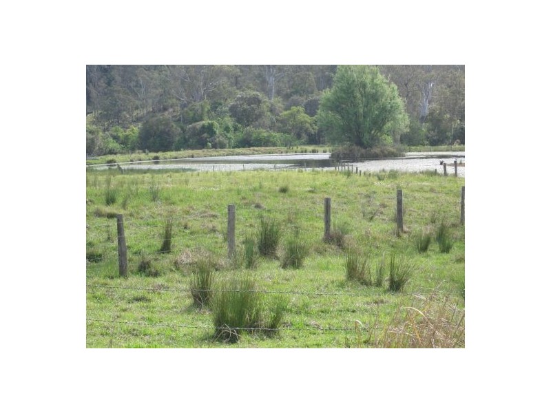 Lot 143 Old Lawrence Rd, Mallanganee NSW 2469