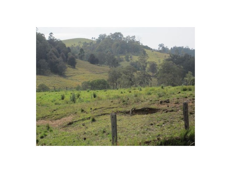 Lot 143 Old Lawrence Rd, Mallanganee NSW 2469