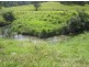 Lot 144 Old Lawrence Rd, Mallanganee NSW 2469