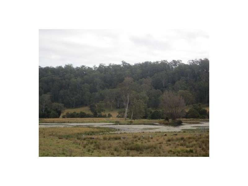 Lot 144 Old Lawrence Rd, Mallanganee NSW 2469