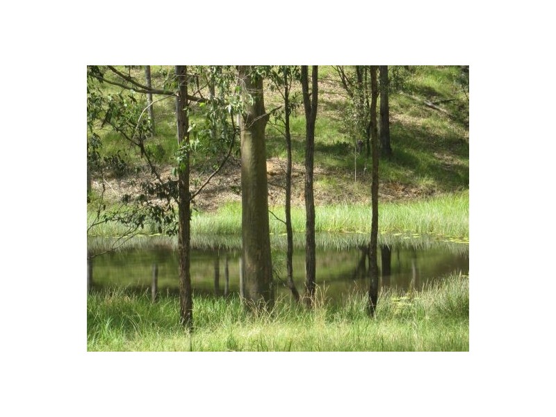 Lot 146 Old Lawrence Rd, Mallanganee NSW 2469