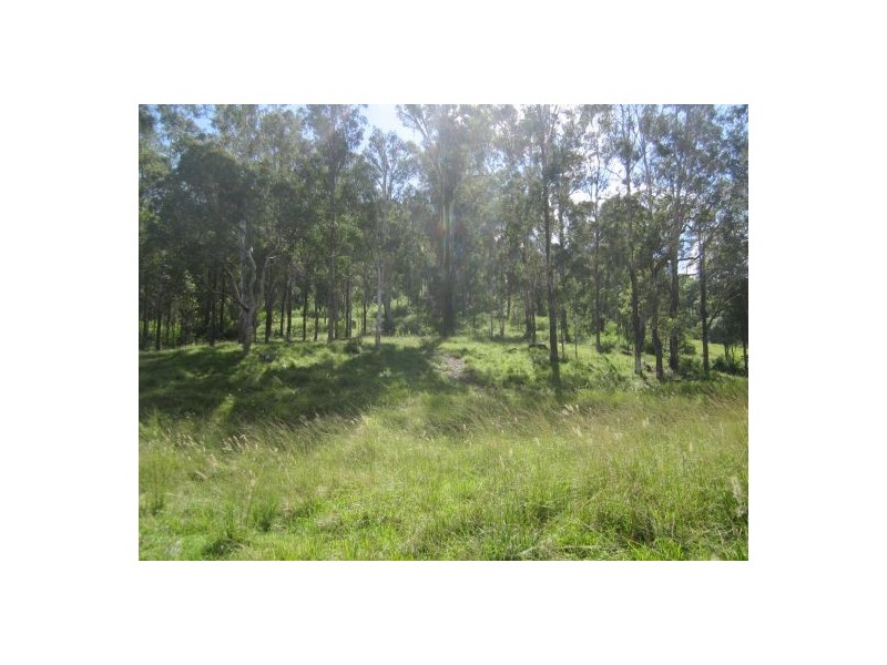 Lot 146 Old Lawrence Rd, Mallanganee NSW 2469