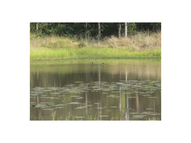 Lot 25 Busbys Flat Rd, Casino NSW 2470