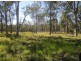 Lot 114 Old Tenterfield Rd, Rappville NSW 2469