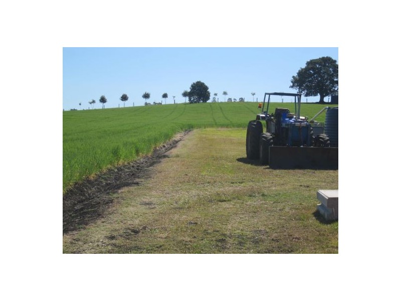 80 Strongs Rd, Casino NSW 2470