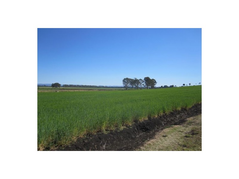 80 Strongs Rd, Casino NSW 2470