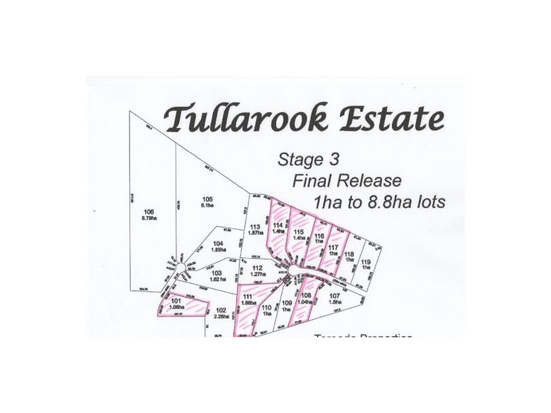Lot 111 Tareeda Court, Spring Grove NSW 2470