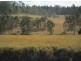 Mallanganee NSW 2469