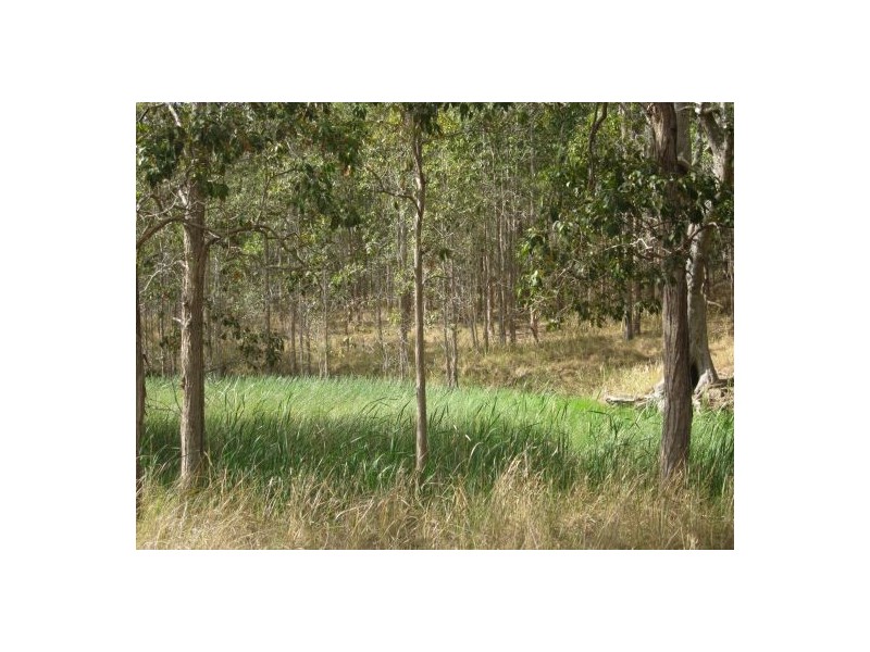 Mallanganee NSW 2469