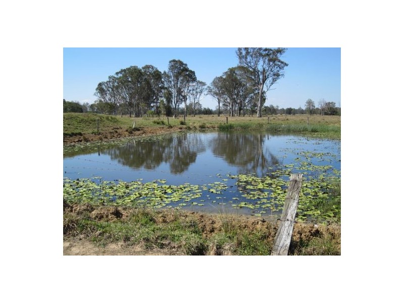 80 Mongogarie Rd, Casino NSW 2470