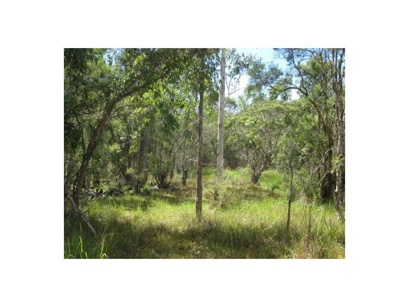 434 Seery Rd, Rappville NSW 2469