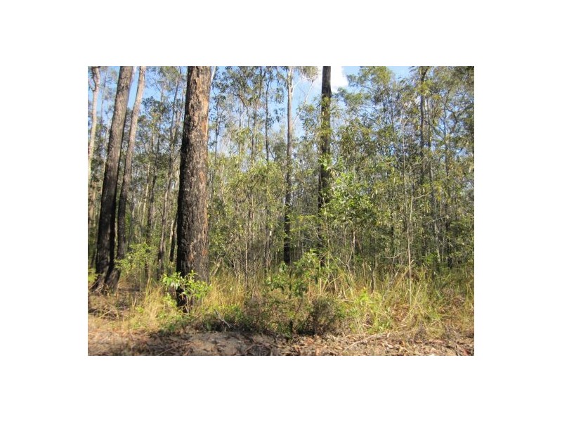 434 Seery Rd, Rappville NSW 2469