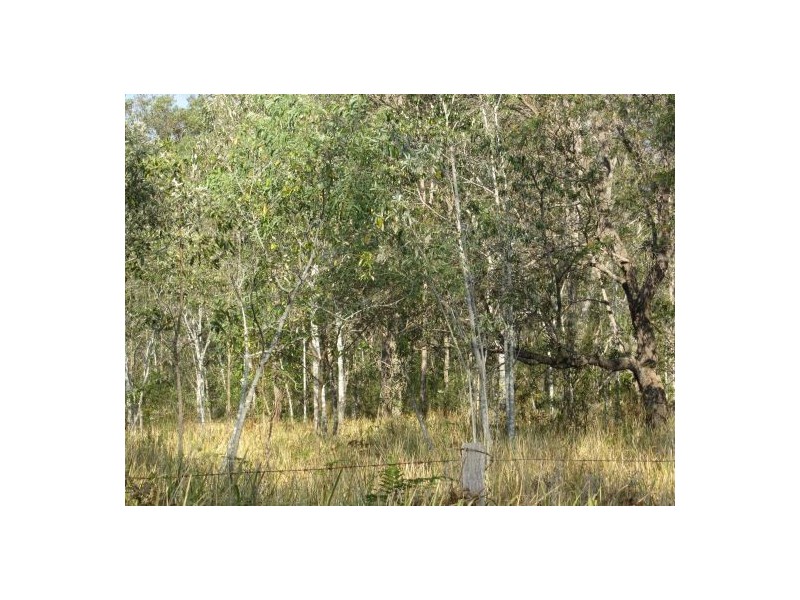 434 Seery Rd, Rappville NSW 2469