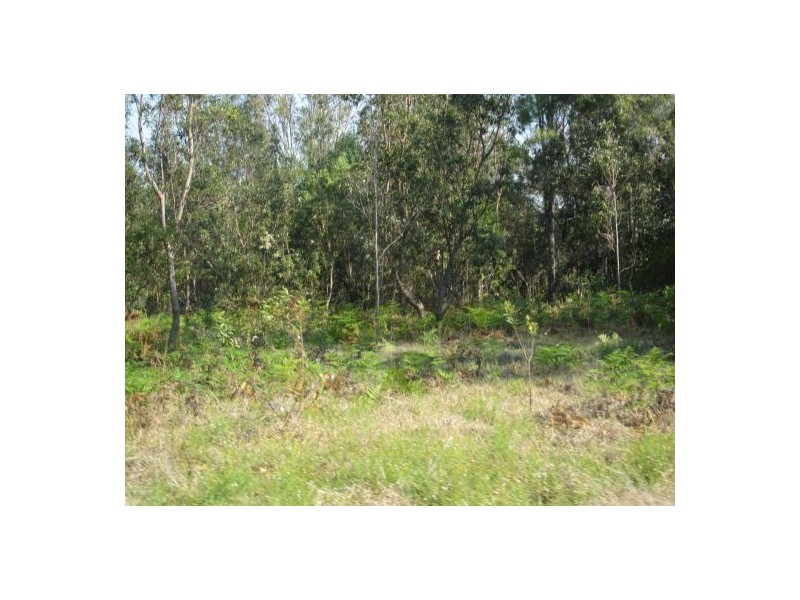 434 Seery Rd, Rappville NSW 2469