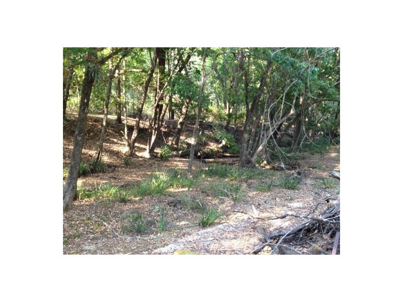 434 Seery Rd, Rappville NSW 2469