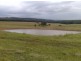 283 Tabulam Rd, Tabulam NSW 2469
