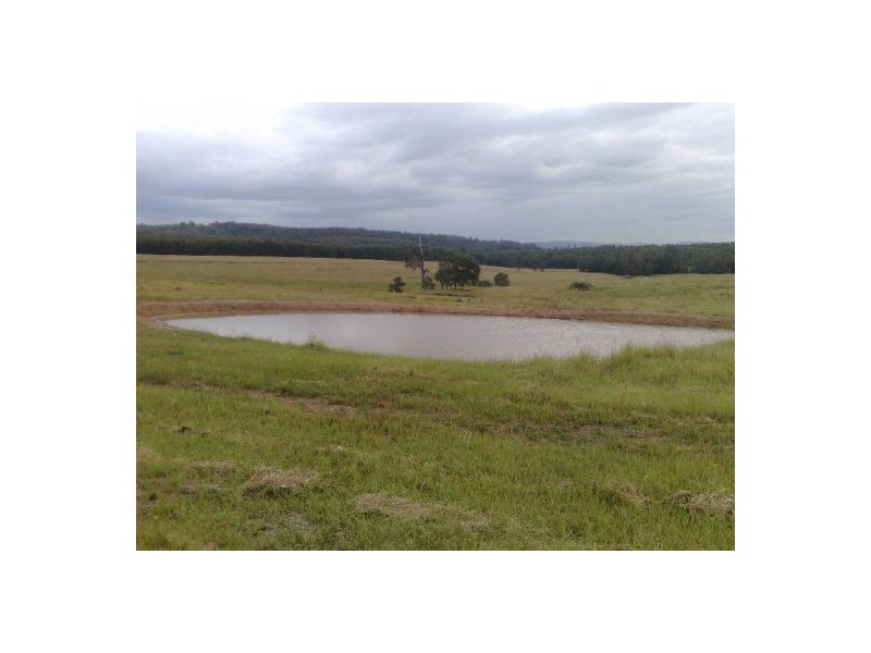 283 Tabulam Rd, Tabulam NSW 2469