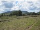 283 Tabulam Rd, Tabulam NSW 2469
