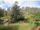 1103 Long Gully Rd, Drake NSW 2469