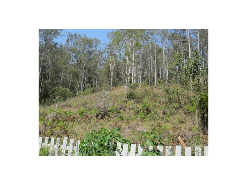 1103 Long Gully Rd, Drake NSW 2469