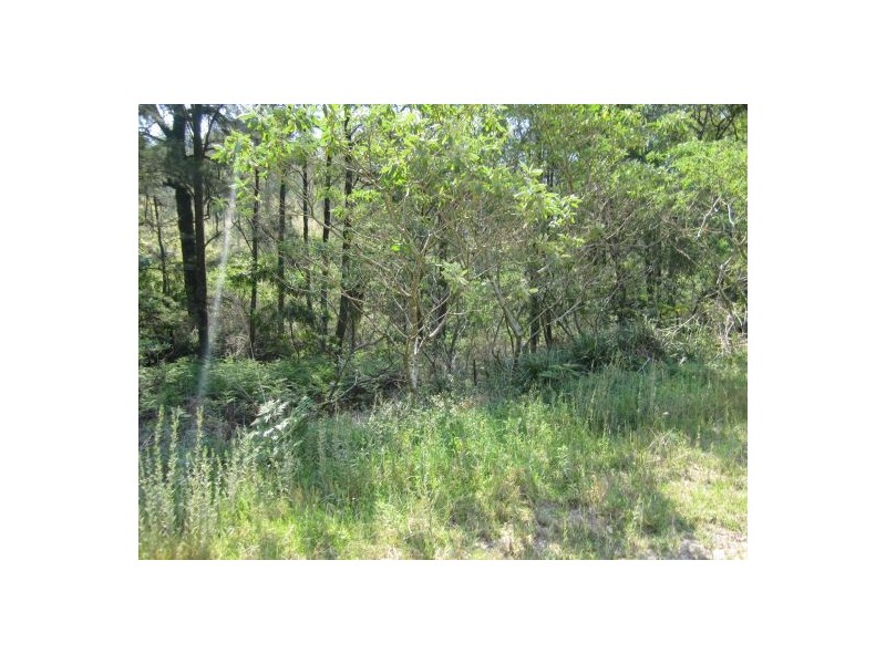 1103 Long Gully Rd, Drake NSW 2469