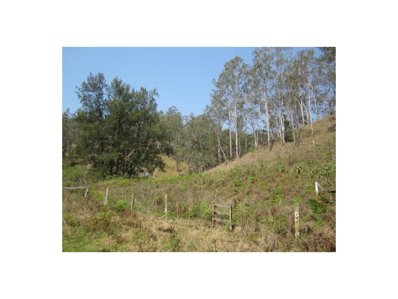 1103 Long Gully Rd, Drake NSW 2469