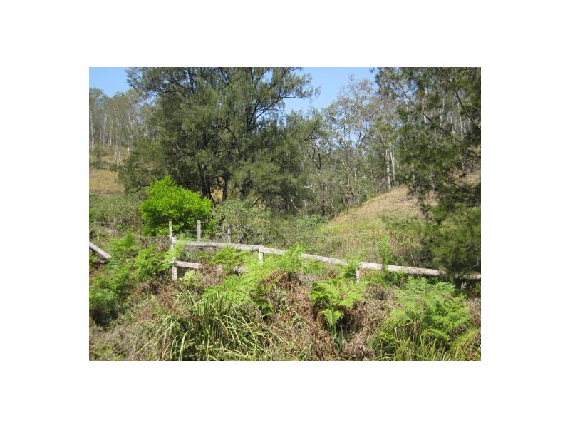 1103 Long Gully Rd, Drake NSW 2469