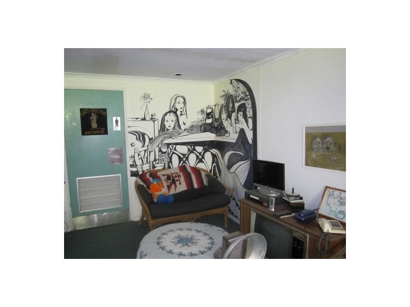 913 Long Gully Rd, Drake NSW 2469