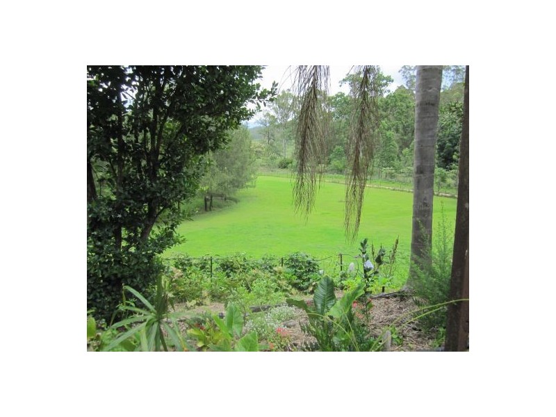 913 Long Gully Rd, Drake NSW 2469