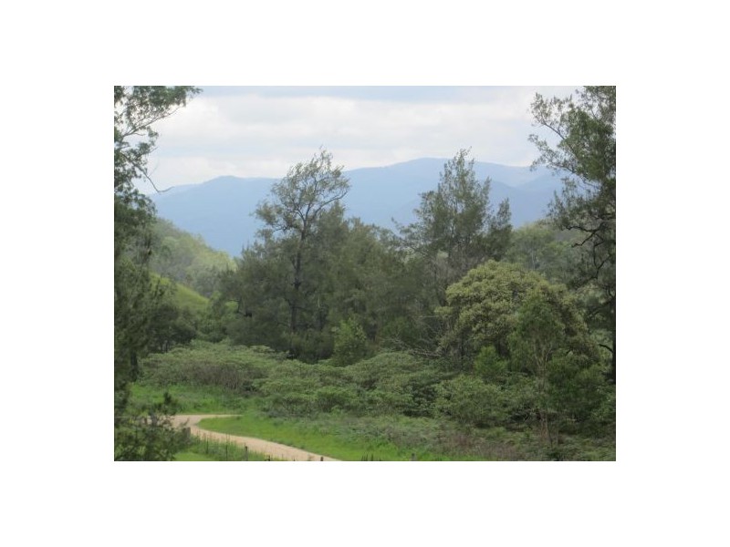 913 Long Gully Rd, Drake NSW 2469