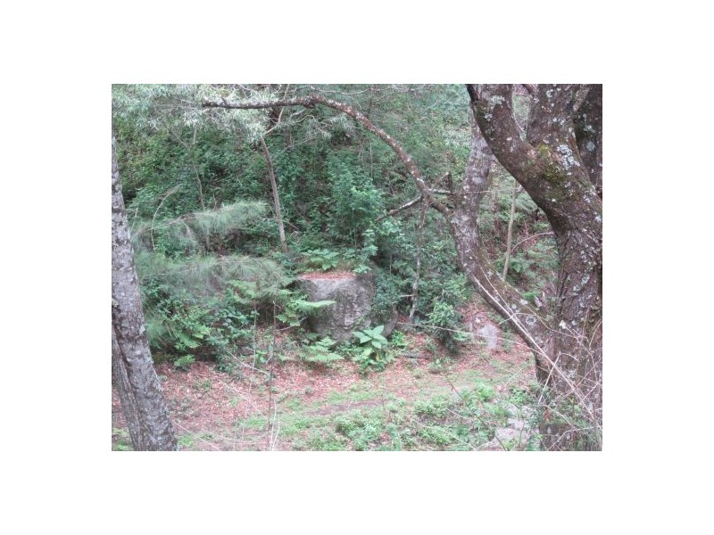 913 Long Gully Rd, Drake NSW 2469