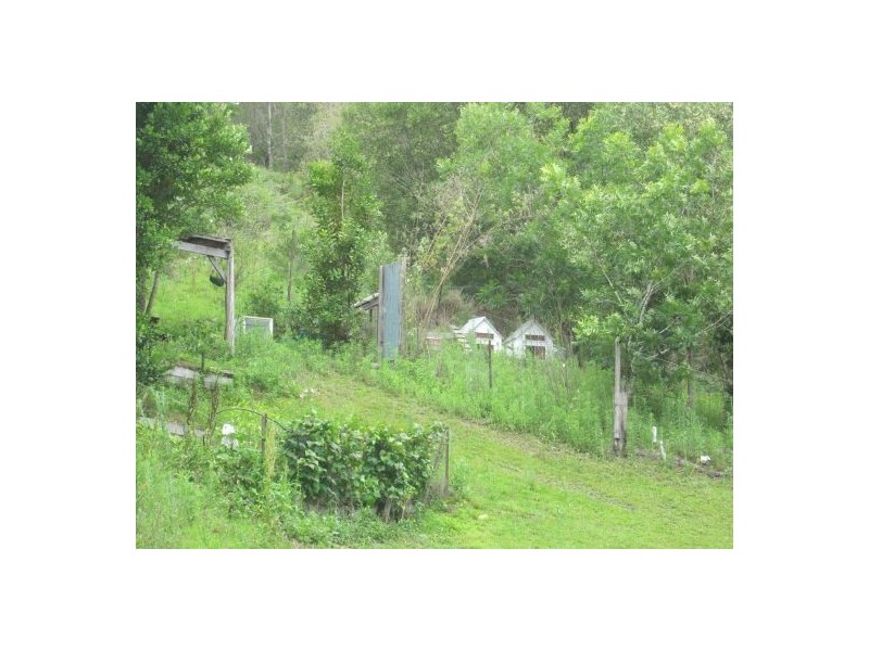 913 Long Gully Rd, Drake NSW 2469