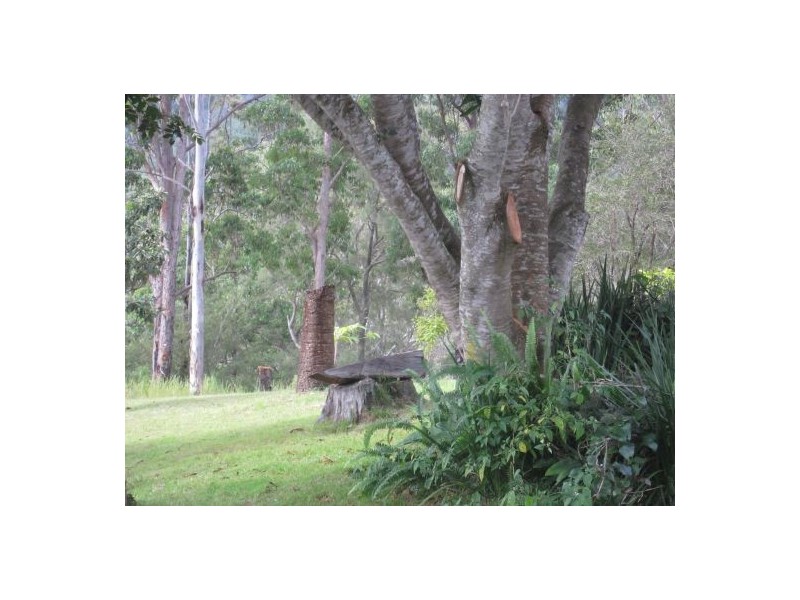 Lot 18 Long Gully Rd, Drake NSW 2469