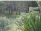Lot 18 Long Gully Rd, Drake NSW 2469