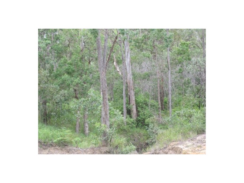 Lot 12 Bruxner Rd, Tabulam NSW 2469
