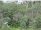 Lot 12 Bruxner Rd, Tabulam NSW 2469