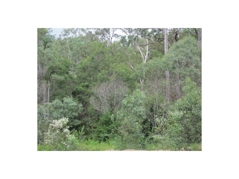 Lot 12 Bruxner Rd, Tabulam NSW 2469