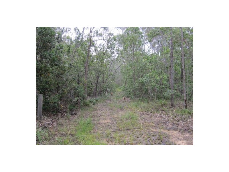 Lot 12 Bruxner Rd, Tabulam NSW 2469